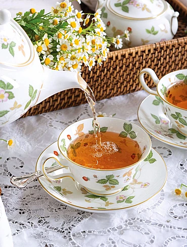 Коллекция Wild Strawberry от Wedgwood