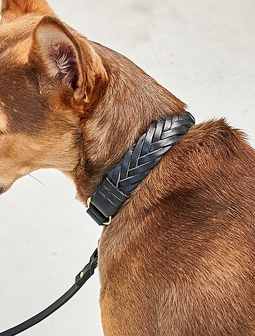 Коллекция Palermo от MiaCara