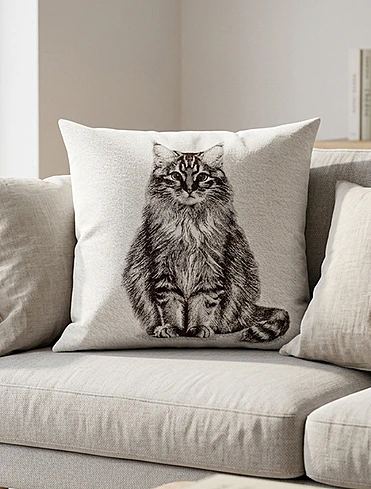 Коллекция Pets от Sander