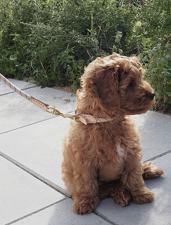 Коллекция Perry от OYOY Living Design