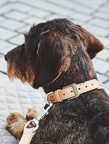 Коллекция Bergamo от MiaCara