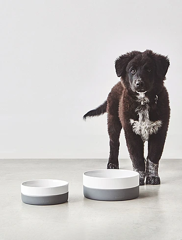 Коллекция Coppa от MiaCara