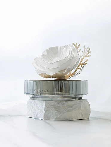 Коллекция Starry Dreams от Chando