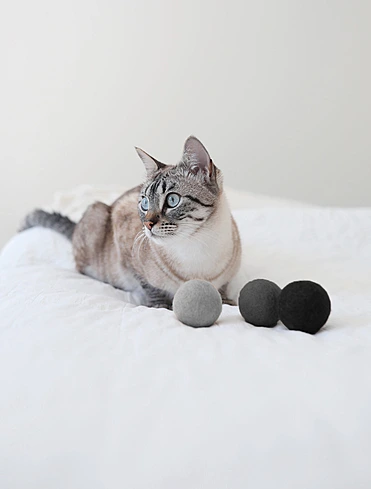 Коллекция Globo от MiaCara