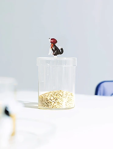 Коллекция Dogs от Ichendorf Milano