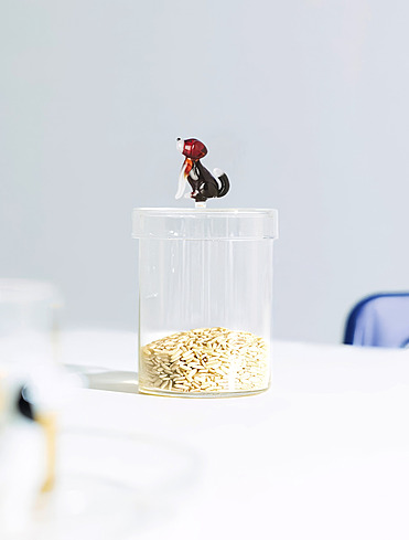 Коллекция Dogs от Ichendorf Milano