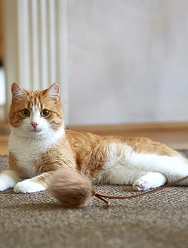 Коллекция Topo от MiaCara