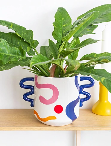 Коллекция Eva от Que Rico