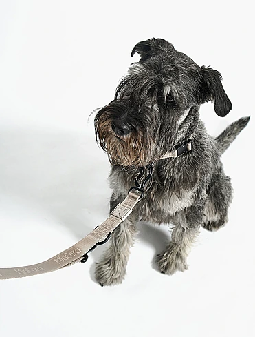 Коллекция Modena от MiaCara