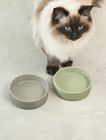 Коллекция Scodella от MiaCara