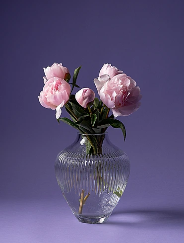 Коллекция Crystal Garden от Vista Alegre