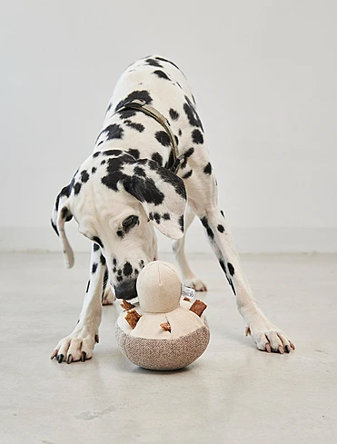 Коллекция Foresta от MiaCara