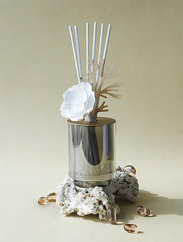 Коллекция Starry Dreams от Chando