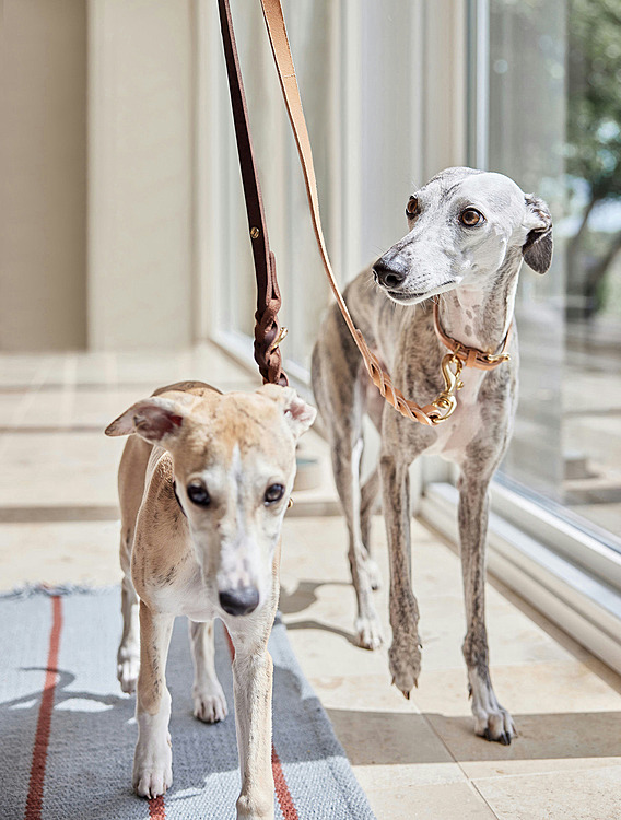 Коллекция Robin от OYOY Living Design