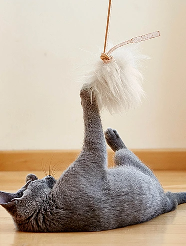 Коллекция Topo от MiaCara