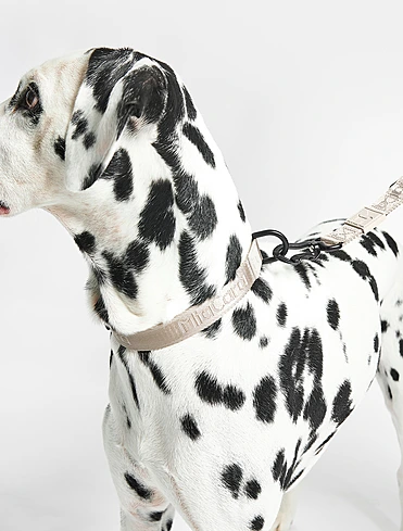 Коллекция Modena от MiaCara