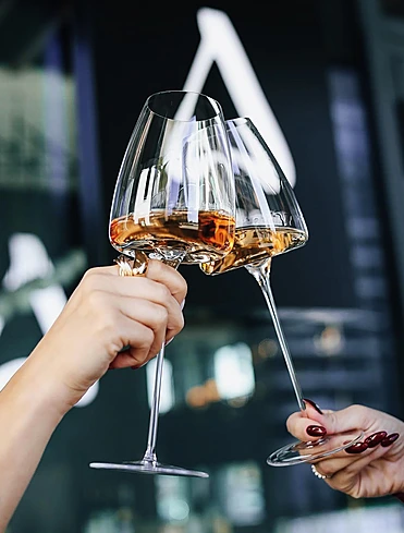 Коллекция Vision от Zieher