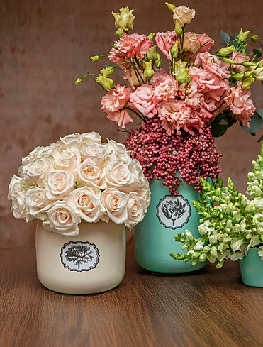 Коллекция Herbariae от Vista Alegre