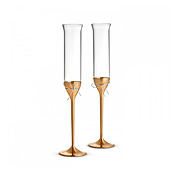 Набор из 2 бокалов для шампанского Love Knots, 148 мл