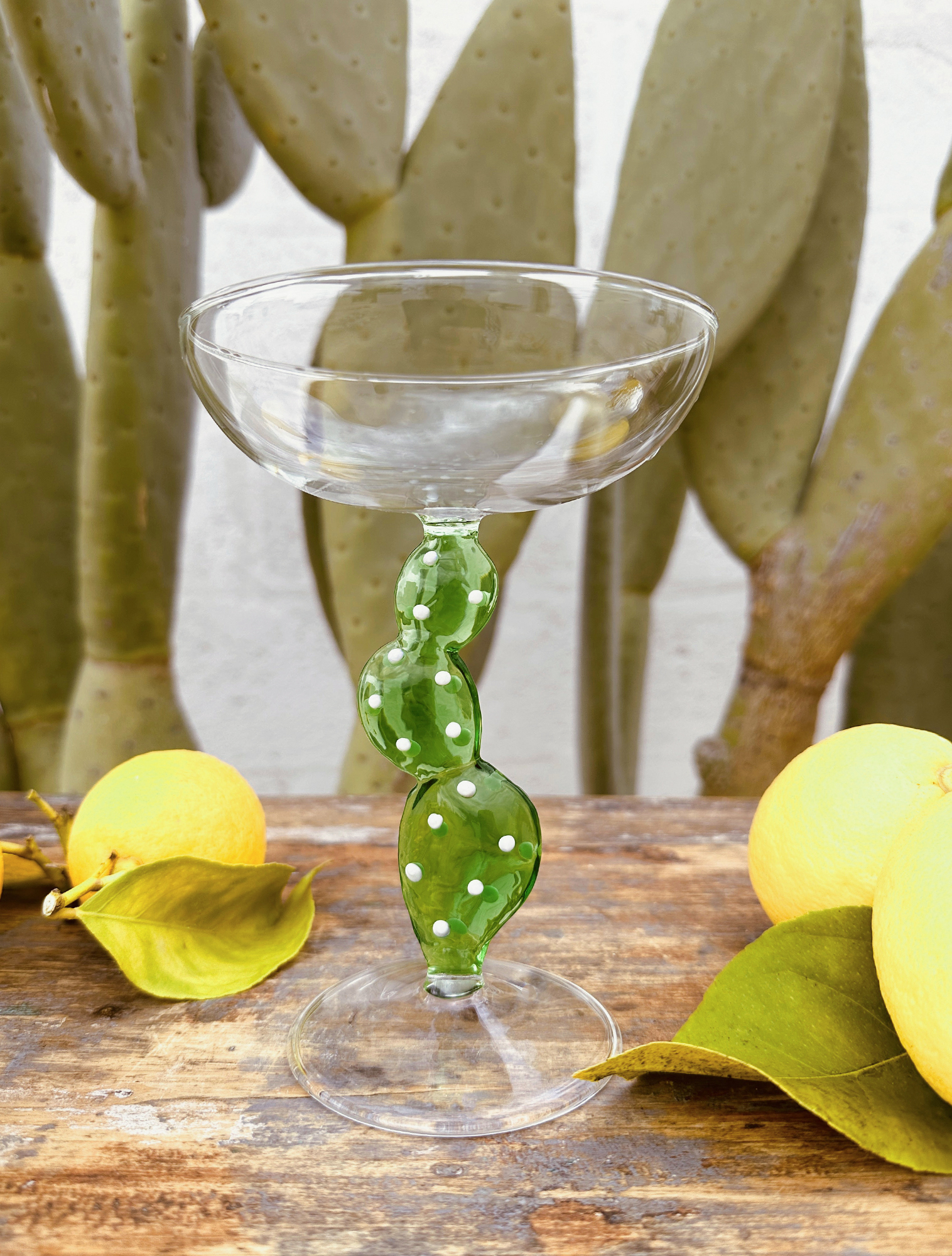 Бокал для шампанского и мартини Desert Plants, 300 мл