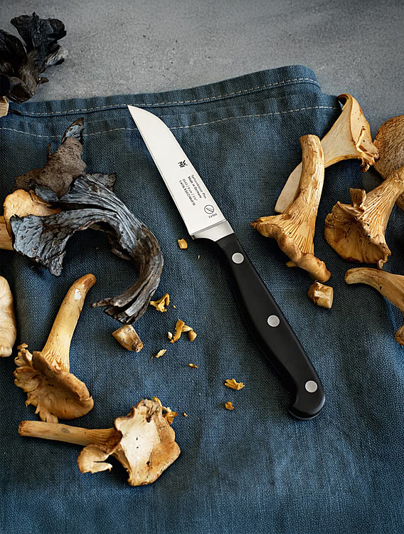 Коллекция Spitzenklasse Plus от WMF