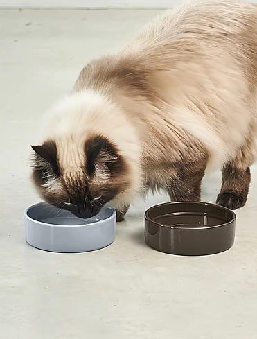 Коллекция Scodella от MiaCara