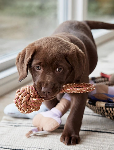 Коллекция Otto от OYOY Living Design