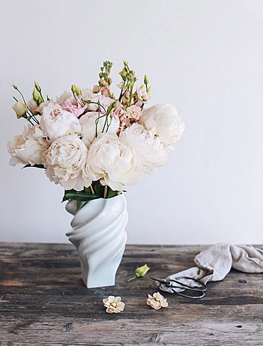 Коллекция Squall от Rosenthal